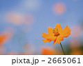 2665061