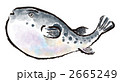 2665249