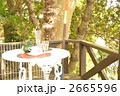 森の中のイギリス風オープンカフェ