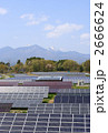 太陽光発電所