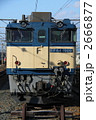 2666877