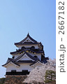 桜の彦根城