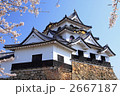 桜の彦根城