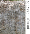 2667207