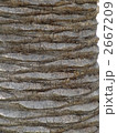 2667209
