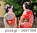 舞妓