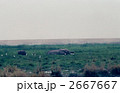 2667667