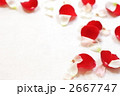 花びら