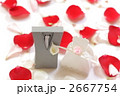 プチギフトの新郎新婦（フラワーシャワーイメージ）
