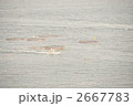 浦賀の養殖場