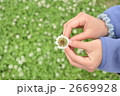 シロツメグサ