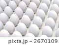 たまごCG_斜め