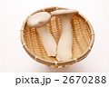 エリンギ（100ｇ）