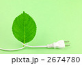 緑の葉とコンセント