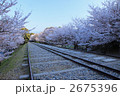 インクラインの桜