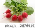 ラディッシュ