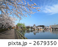 高松の池の桜