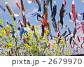 芥川河川敷のこいのぼりと菜の花 芥川河川敷のこいのぼりと菜の花