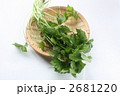 みつば