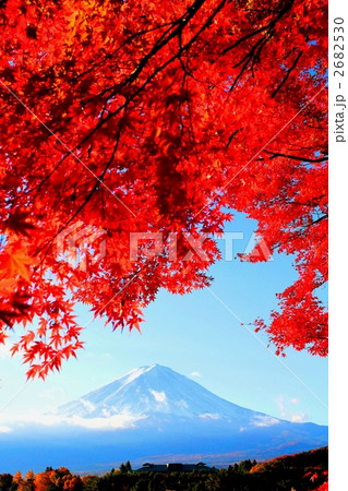 富士山と紅葉 富士山と紅葉