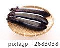 長茄子