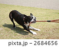 いたずら
