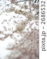 2686532