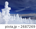 樹氷