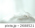 運命の天使が舞い降りた。。。