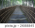 竹林