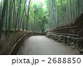 竹林