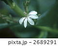 65115