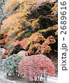 紅葉004