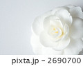 2690700