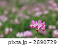 れんげ