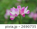 れんげ