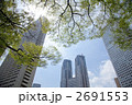 新緑の新宿高層ビル街
