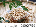 大豆