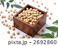 大豆