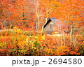 紅葉の山小屋