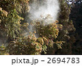 杉花粉