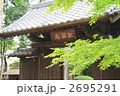 豪徳寺の新緑