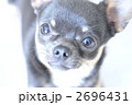 2696431