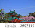 桜の平安神宮