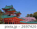 桜の平安神宮