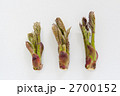 タラの芽