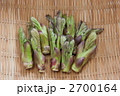 タラの芽