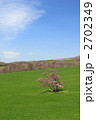 一本桜