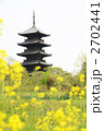 備中国分寺と菜の花
