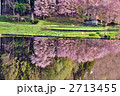 2713455